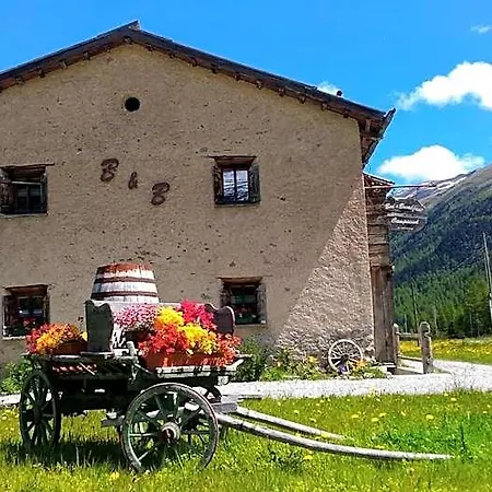Campaciol 3* Livigno